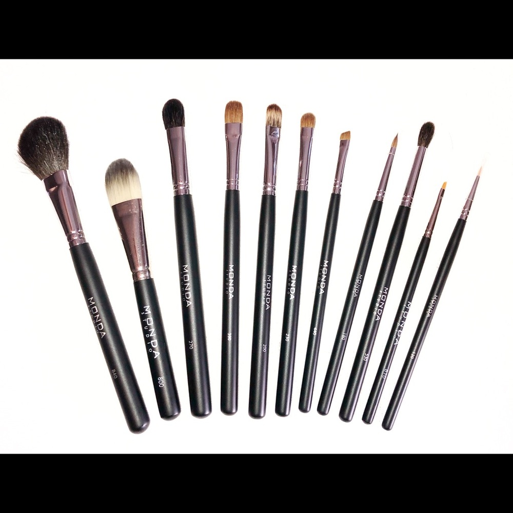 11 Piece Professional Makeup Brush Set